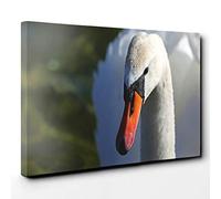 White Swan Canvas Print | Gallery Wrapped 30mm Frame Wall Art | 30x20 inches | Ready to Hang | Modern Bird Picture | Living Room Bedroom Lounge Office