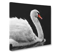White Swan Swimming Canvas Print | Gallery Wrapped 30mm Frame Wall Art | 14x14 inches | Ready to Hang | Modern Bird Picture | Living Room Bedroom Lounge Office