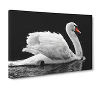 White Swan Swimming Canvas Print | Gallery Wrapped 30mm Frame Wall Art | 24x16 inches | Ready to Hang | Modern Bird Picture | Living Room Bedroom Lounge Office