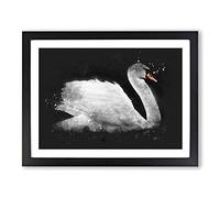 White Swan Swimming Paint Splash Modern Art Framed Print | A3 Black Framed Wall Art | Ready to Hang | Modern Animal Picture | Living Room Bedroom Lounge Office