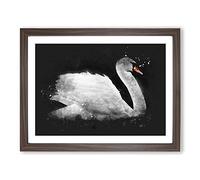 White Swan Swimming Paint Splash Modern Art Framed Wall Art Print, Ready to Hang Picture for Living Room Bedroom Home Office Décor, Walnut A4 (34 x 25 cm)