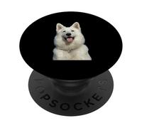 White Swiss Shepherd Dog Beautiful Berger Blanc Suisse PopSockets Adhesive PopGrip