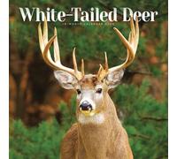 White-Tailed Deer Calendar 2026