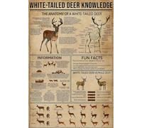 White -Tailed Deer Knowledge Metal Tin Sign The Anatomy of A White Tailed Deer Funny Poster Living Room Kitchen Bathroom Bathroom Cafe Home Art Wall Decoration Plaque Gift 12x8 Inch