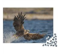 White-tailed Sea Eagle Jigsaw Puzzles Puzzle for Adults Kids. 1000 Piece Ocean Impossible Challenge Toy Home Decoration for Adults& Kids Age 14 Years Up 1000pcs (75x50cm)