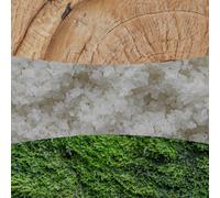 White Teak