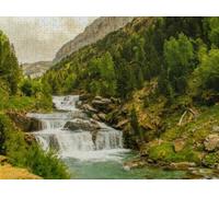 White Tiger and Little Boy Jigsaw Puzzle - Adult Puzzle with Stunning Artwork - for Lasting Fun and Display - Challenging Brain Exercise, for Puzzle Lovers_500pcs