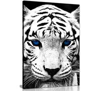 White Tiger Blue Eyes Animal Canvas Wall Art Picture Print (24x16in)