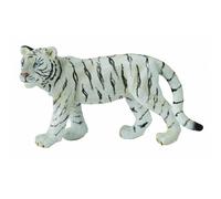 White Tiger Cub (Walking)