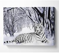 White Tiger In The Snow Canvas Print Wall Art - Medium 20 X 32 Inches