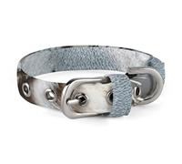 White Tiger Pet Collar Easy Snap on Buckle Adjustable Collar with 5 Hole Positions Training Collar for Large Medium and Small Pets,Pet Supplies,Stuff,Accessories