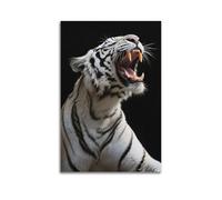 White Tiger Roar Wall Art, Exotic Print, Striking Poster, Dramatic Canvas Picture Artistic Wall Mural Modern Hanging Decor Poster12x18inch(30x45cm)