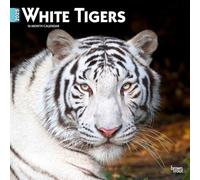 White Tigers 2025 12 X 24 Inch Monthly Square Wall Calendar Plastic-Free