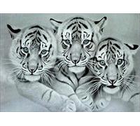 White Tigers Diamond Painting Art - PigBoss 5D Full Drill Diamond Embroidery Crystals Diamond Dots Kit Cross Stitch Art Gift for Adults (15.7 x 11.8 inches)