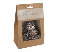 White Tipped Natural Pine Cones x 9 - Festive Christmas Wreath Garland Crafts