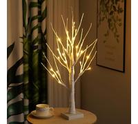 White Twig Christmas Tree with Lights - 60cm Birch Light Twig Tree Indoor with 24 Warm White LED, Light Up Tree USB Bonsai Lights for Easter Party Birthday Wedding Festive Xmas Decorations