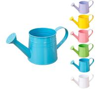 White Watering Can Metal, 1 Gallon Vintage Sprinkling Can with Removable Spout, Galvanized Steel Waterer for Indoor Outdoor Plants, Garden Irrigation Tool (Blue)