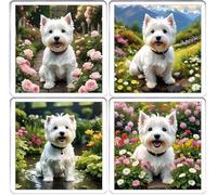 White West Highland Terrier Dog Coaster Set. 4 different Westie Dog Pictures on 10cm x 10cm Acrylic Coasters. Boxed Coaster Drip Mat Set.