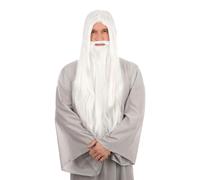 White Wizard Wig & Beard Halloween Gandalf Merlin Mens Fancy Dress Costume