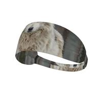 White Wolf Elastic Exercise Headband Light Comfort Absorb Sweat Breathable for Outdoor Sports Wearing
