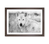 White Wolf Painting Framed Print | A2 Walnut Framed Wall Art | Ready to Hang | Modern Animal Picture | Living Room Bedroom Lounge Office