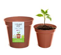 Whitefurze G04020 17.5cm Garden Pot - Terracotta