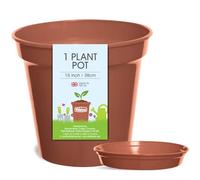 Whitefurze Plant, Pot & Saucer Set, 15 IN/38 CM