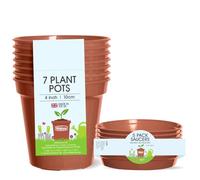 Whitefurze Plant, Pot & Saucer Set, 4 Inch/10 Centimeters