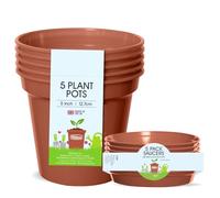 Whitefurze Plant, Pot & Saucer Set, 5 Inch/12.5 Centimeters