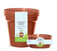 Whitefurze Plant, Pot & Saucer Set, 6 Inch/15 Centimeters
