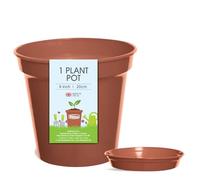 Whitefurze Plant, Pot & Saucer Set, 8 IN/20 CM