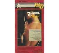 Whitesnake: Fourplay: Fool For Your Lovin', Don't Break My Heart Again, Here I Go Again, Guily of Love [VHS]