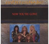 Whitesnake - Now You're Gone