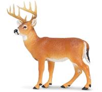 Whitetail Buck
