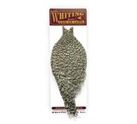 Whiting Coq de Leon Cape - Grizzly