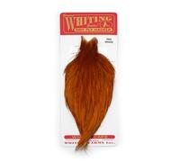 Whiting Pro Grade Cape - Medium Ginger