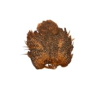 Whiting Rooster Soft Hackle Chickabou Grizzly Dyed - Brown