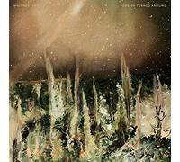 Whitney Forever Turned Around CD SC377CD NEW