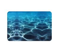 WHJDPP Anti Slip Doormat 16x24 Inch, Soft Flannel Indoor Floor Mat
