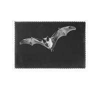 WHJDPP Bats in The Sky Printing Placemats for Dining Table Set of 6 for Homes, and Banquets Easy to Clean at Room Temperature for Long-Lasting Use