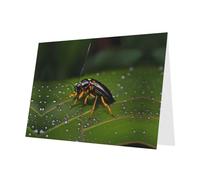 WHJDPP Blue Greeting Card Insects on leaves Printing 4x6in for Christmas, children's birthdays, Valentine's Day, wedding anniversaries, and party invitations