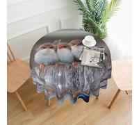 WHJDPP Four Birds Prints 60 Inch Round Table Throw - Waterproof Table Cover for Dining Table, Coffee Table, Party & Outdoor Use - Soft & Wrinkle Resistant Decor