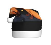WHJDPP Fox in the Starry Sky Printed Christmas Hat for Adult Festive Celebrations as a Gift for Men and Women