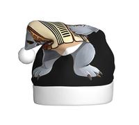 WHJDPP Koala playing the accordion Picture Christmas Hat for Adult for Christmas, Halloween, New Year, sales, promotions