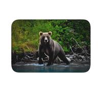 WHJDPP Lock edge floor mat 40x60 in Brown bear Picture water-absorbent and non-slip soft and comfortable for bathroom and kitchen