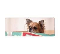 WHJDPP Papillon in the box Prints Extended Mouse Pad 12x31.5in