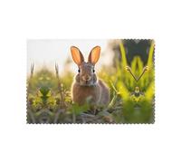 WHJDPP Rabbit in the grass Pattern Placemats for Dining Table Set of 6 12x18in Heat Resistant, Washable, and Durable Placemats for Kitchen, Home, Hotel