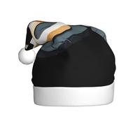 WHJDPP Small snake on the stone pier Picture Men's and women's plush Christmas hats, adult New Year's holiday party caps