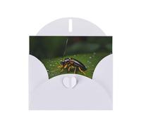 WHJDPP White Greeting Card Insects on leaves Printing 4x6in for Christmas, children's birthdays, Valentine's Day, wedding anniversaries, and party invitations