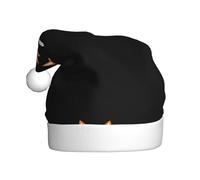 WHJHBD Little fox following his dream Printed Men's and women's plush Christmas hats, adult New Year's holiday party caps
